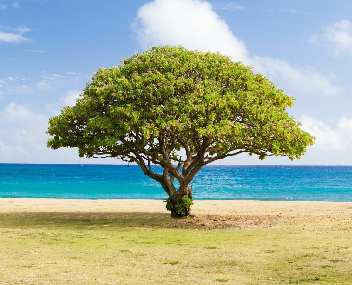 Three Reasons the Old Testament is More Important than You Think ...