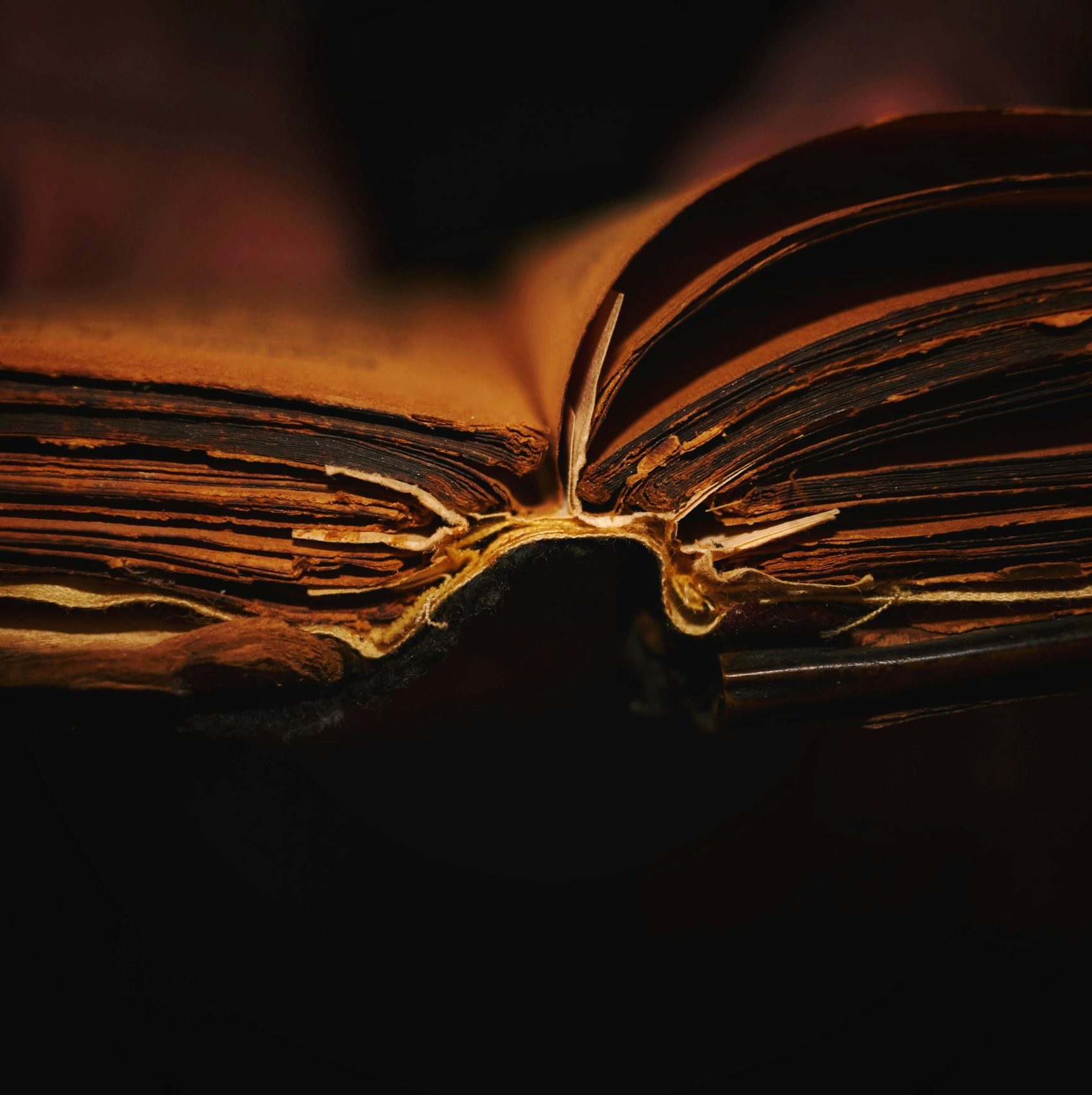 How Did the New Testament Canon Come to Be? - Canon Fodder